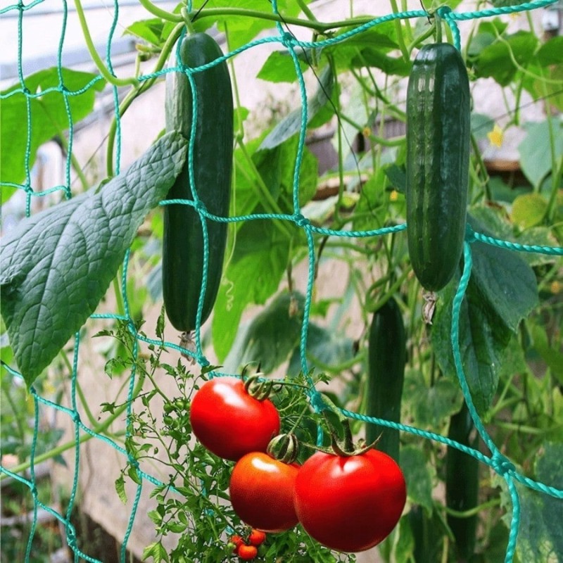 Plant Support Trellis Netting Climbing - Dayanıklı Bitki Destek Ağı - 2,7