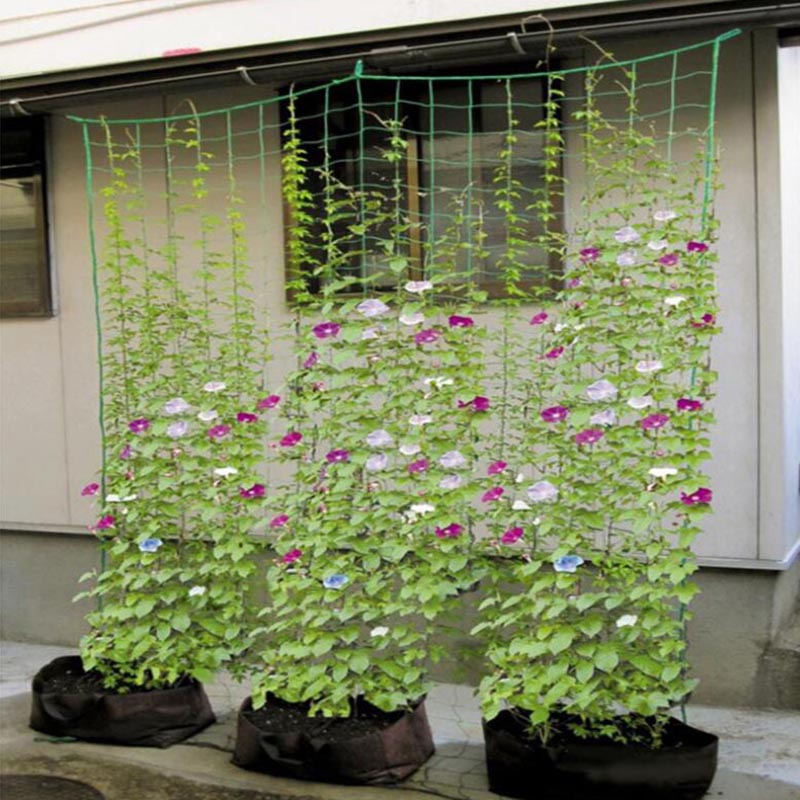 Plant Support Trellis Netting Climbing - 4 boyutları Bahçe Tesisi Tırmanma Net
