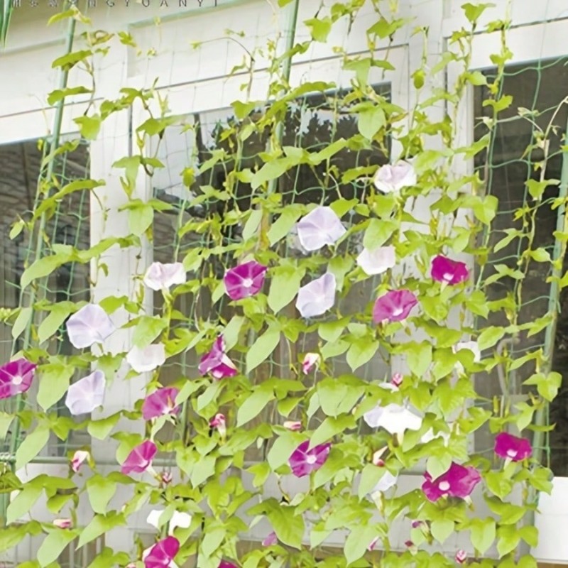 Dayanıklı Bitki Destek Ağı - 2 - Plant Support Trellis Netting Climbing incelemesi ve fiyatı