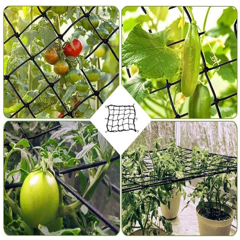 40/60/90/120cm bahçe kafes örg - Plant Support Trellis Netting Climbing incelemesi ve fiyatı