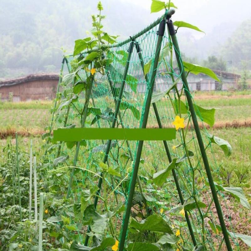 4 boyutları Bahçe Tesisi Tırma - Plant Support Trellis Netting Climbing incelemesi ve fiyatı