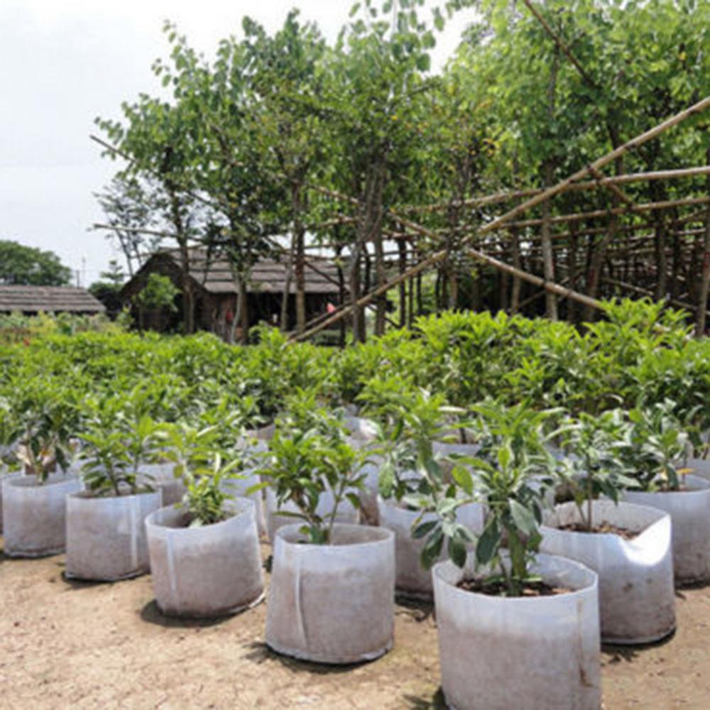 2/5/7/10/17 galon biyobozunur  - Plant Nursery Grow Bags Fabric 5 Gallon incelemesi ve fiyatı