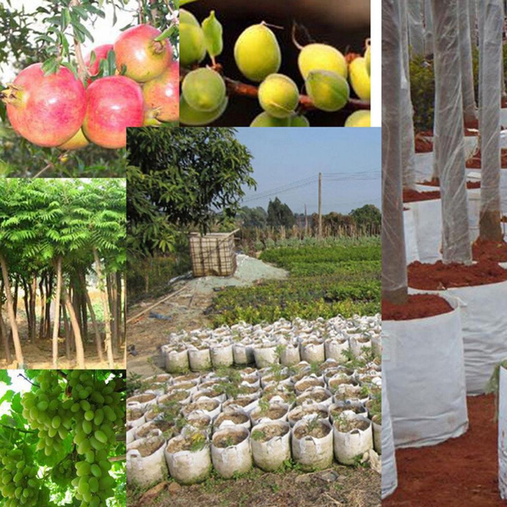 2/5/7/10/17 galon biyobozunur  - Plant Nursery Grow Bags Fabric 5 Gallon incelemesi ve fiyatı