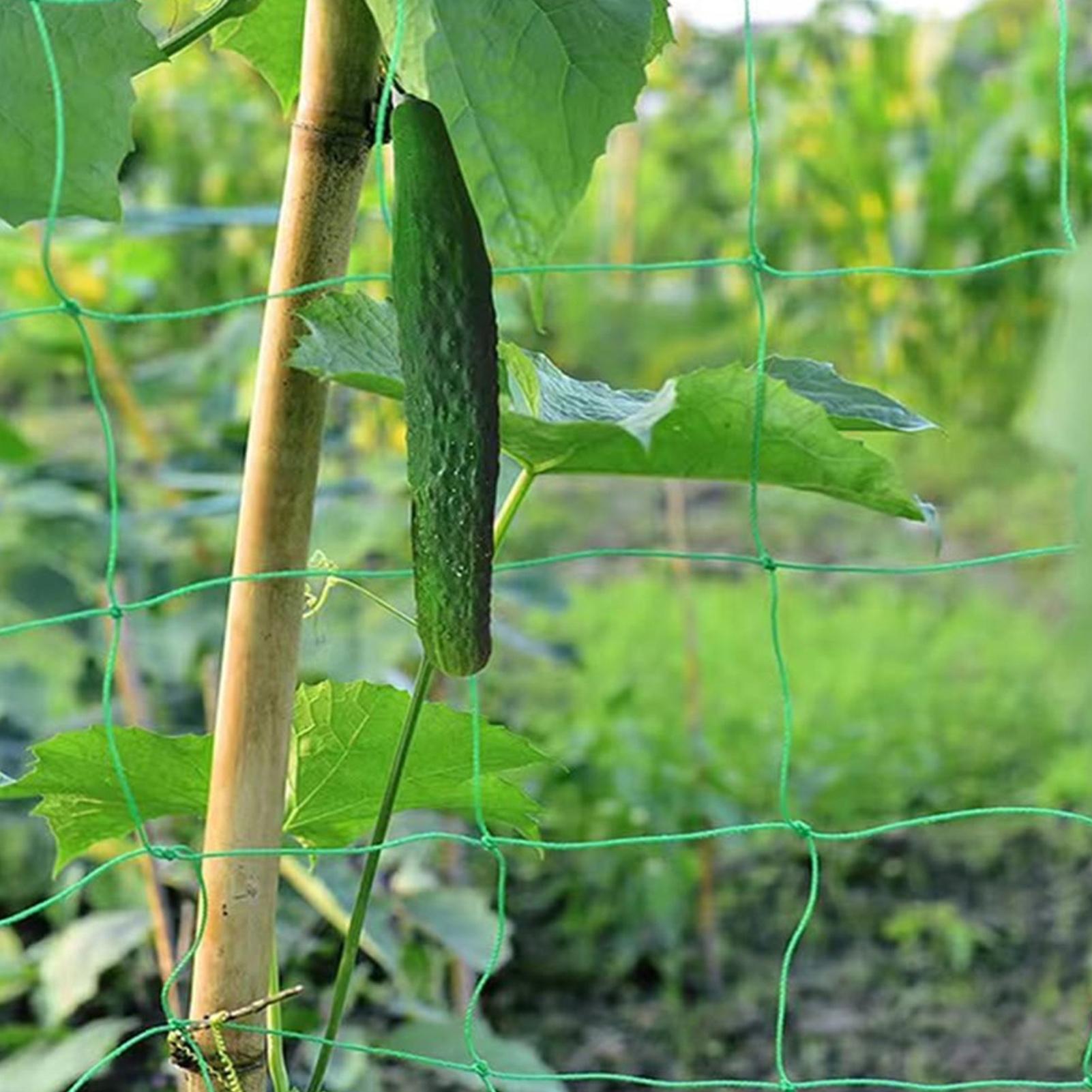 Bitki Tırmanma Ağı, Ağaç Files - Plant Support Trellis Netting Climbing incelemesi ve fiyatı