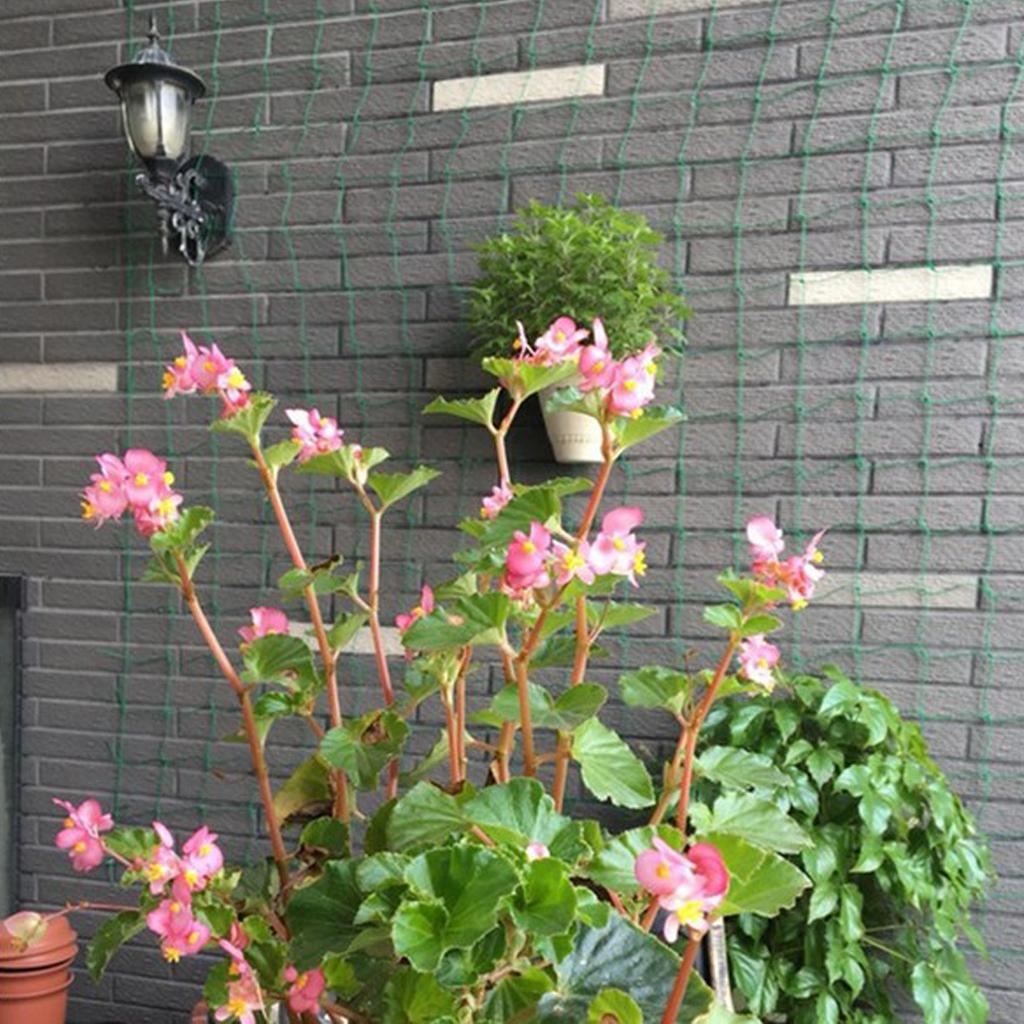 Yeniden Kullanılabilir Naylon  - Plant Support Trellis Netting Climbing incelemesi ve fiyatı