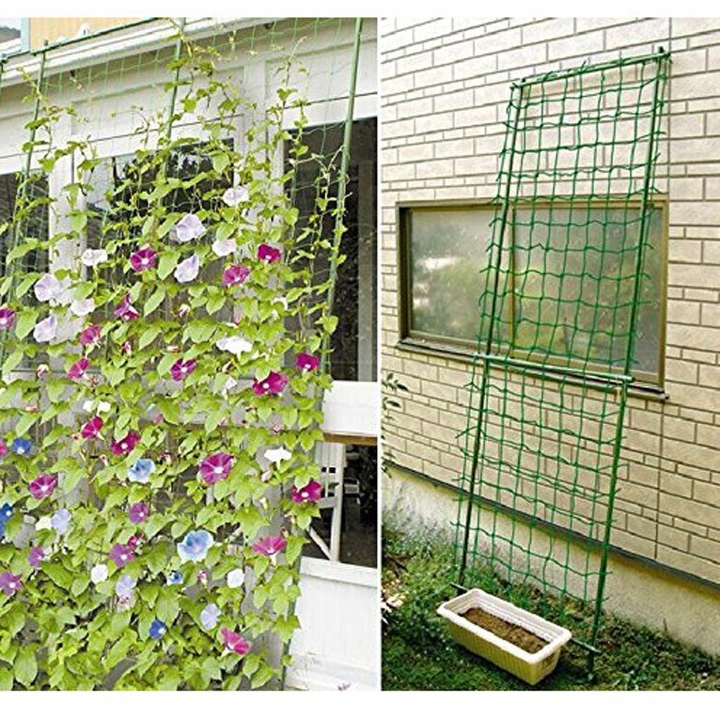 Yeniden Kullanılabilir Naylon  - Plant Support Trellis Netting Climbing incelemesi ve fiyatı