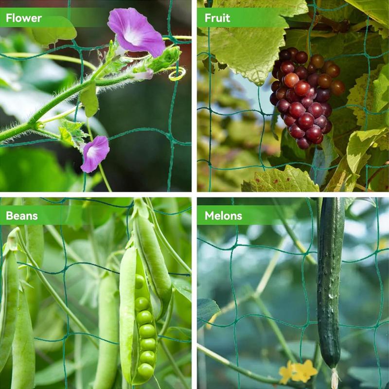 Tırmanma Tesisleri İçin Kafes  - Plant Support Trellis Netting Climbing incelemesi ve fiyatı