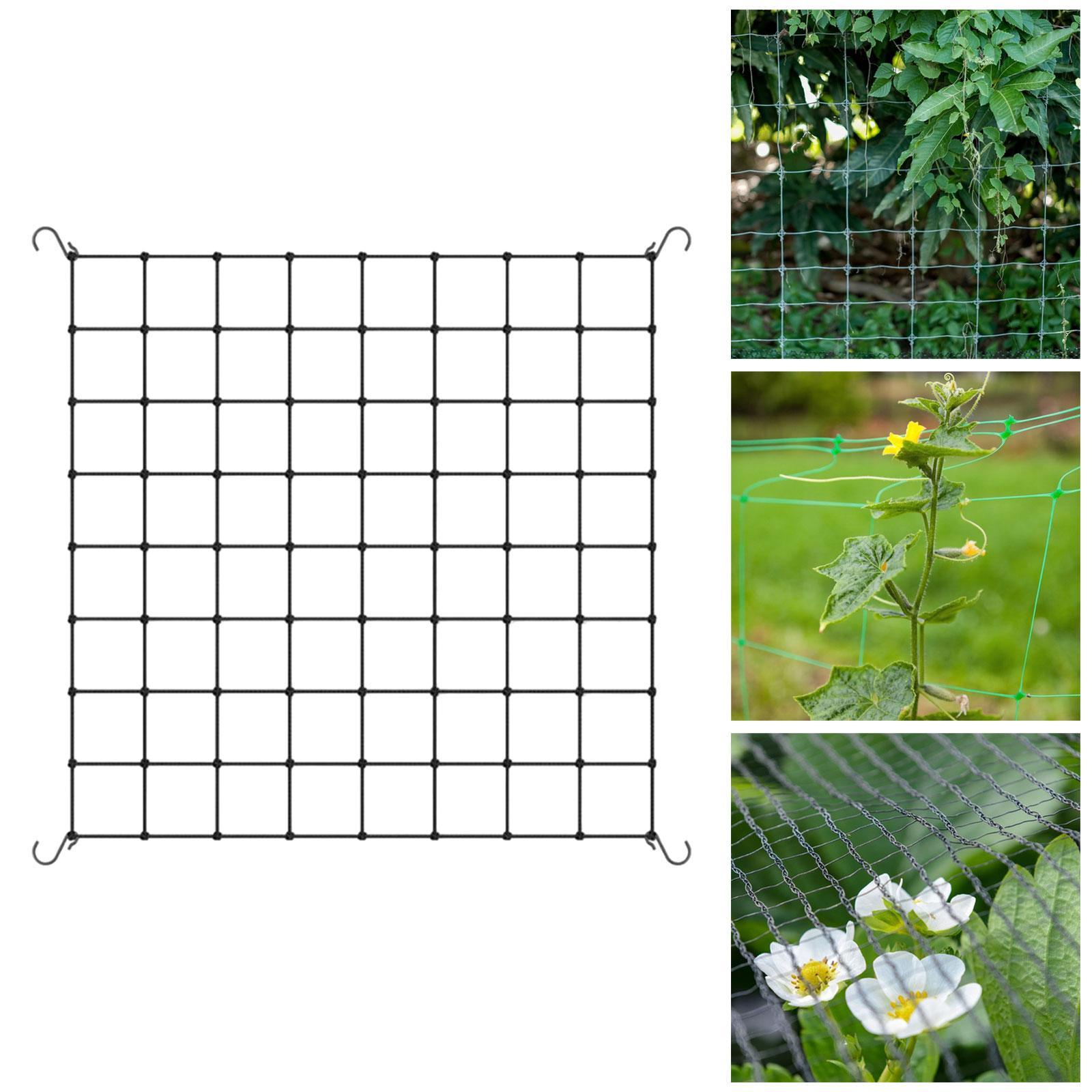 Bitki Destek Filesi, 4 Kancalı - Plant Support Trellis Netting Climbing incelemesi ve fiyatı