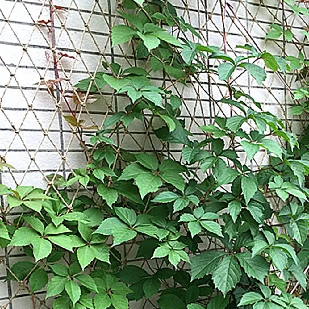 Bitki Destek Netleştirme Doğal - Plant Support Trellis Netting Climbing incelemesi ve fiyatı