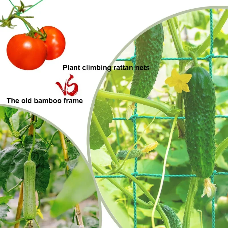 1-2 Adet Ağır Hizmet Tipi Poly - Plant Support Trellis Netting Climbing incelemesi ve fiyatı