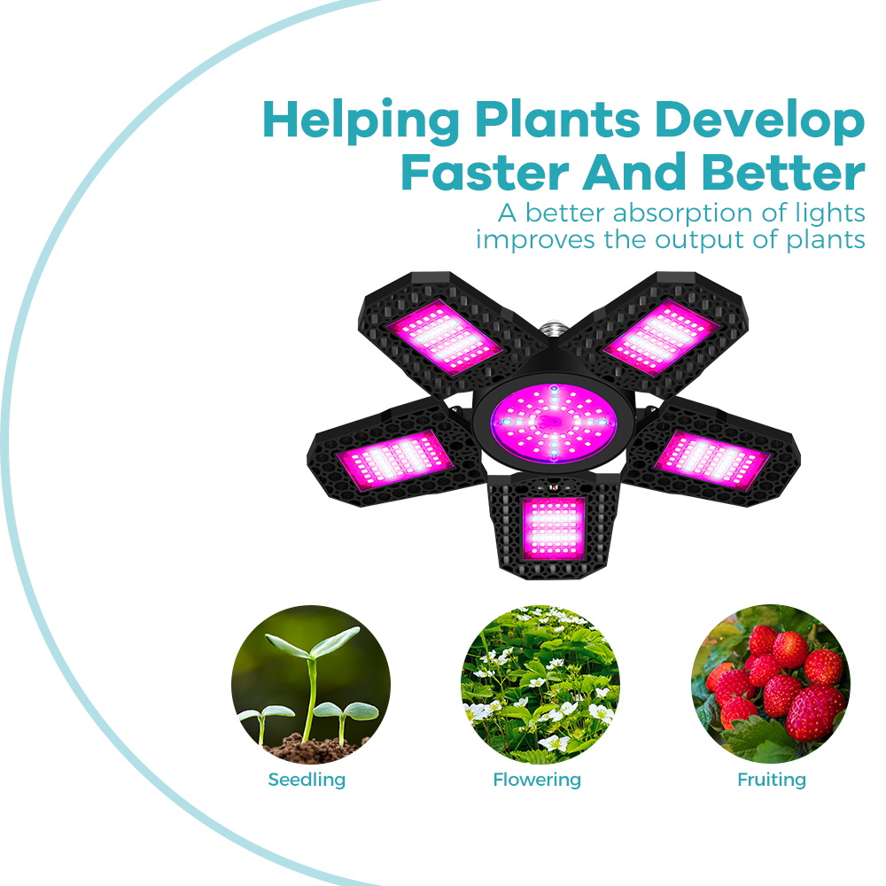 300W LED Bitki Büyütme Ampulü  - Seed Starter Tray Kit With Grow Light incelemesi ve fiyatı