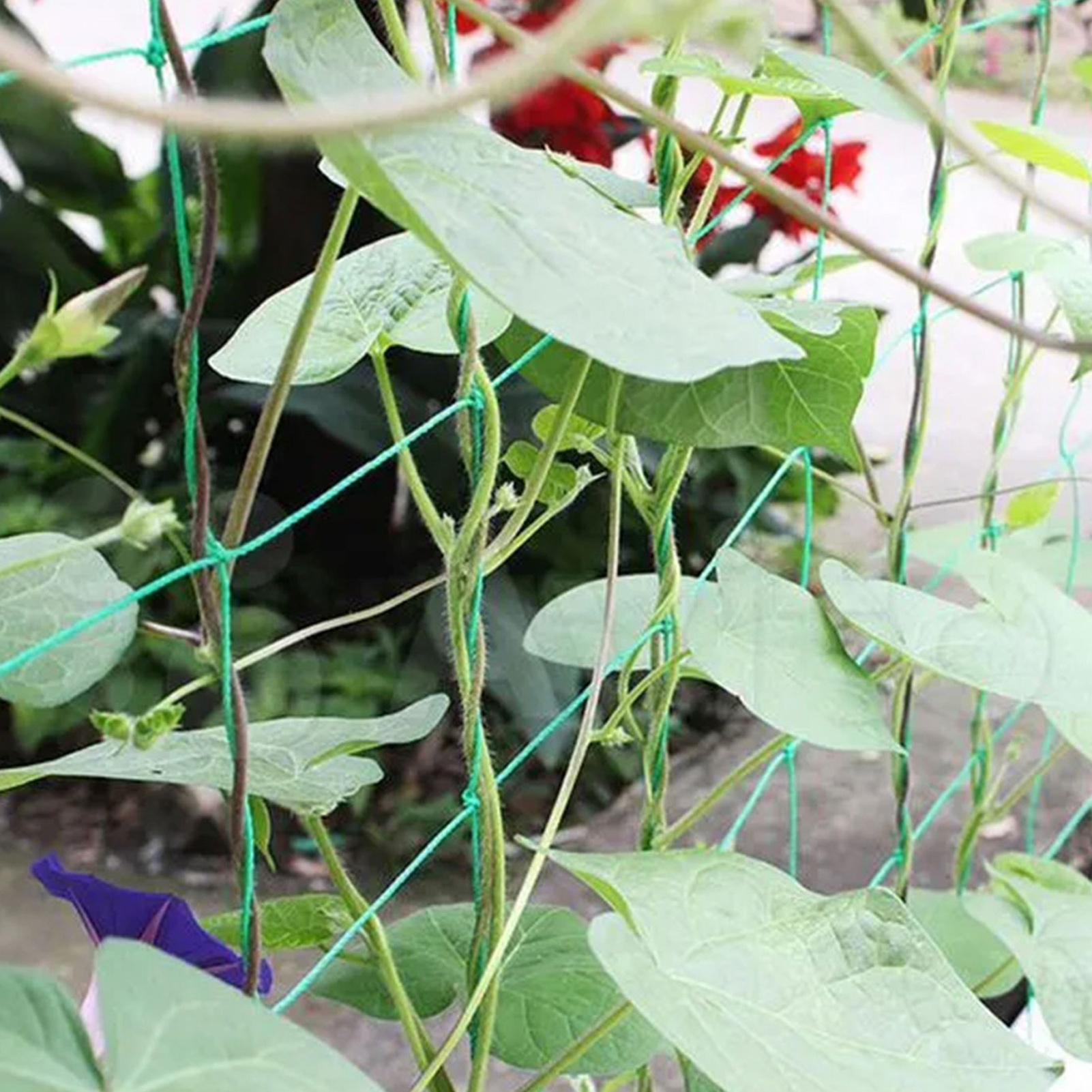 Bitki Kafes Ağı 9 Telli Bitki  - Plant Support Trellis Netting Climbing incelemesi ve fiyatı