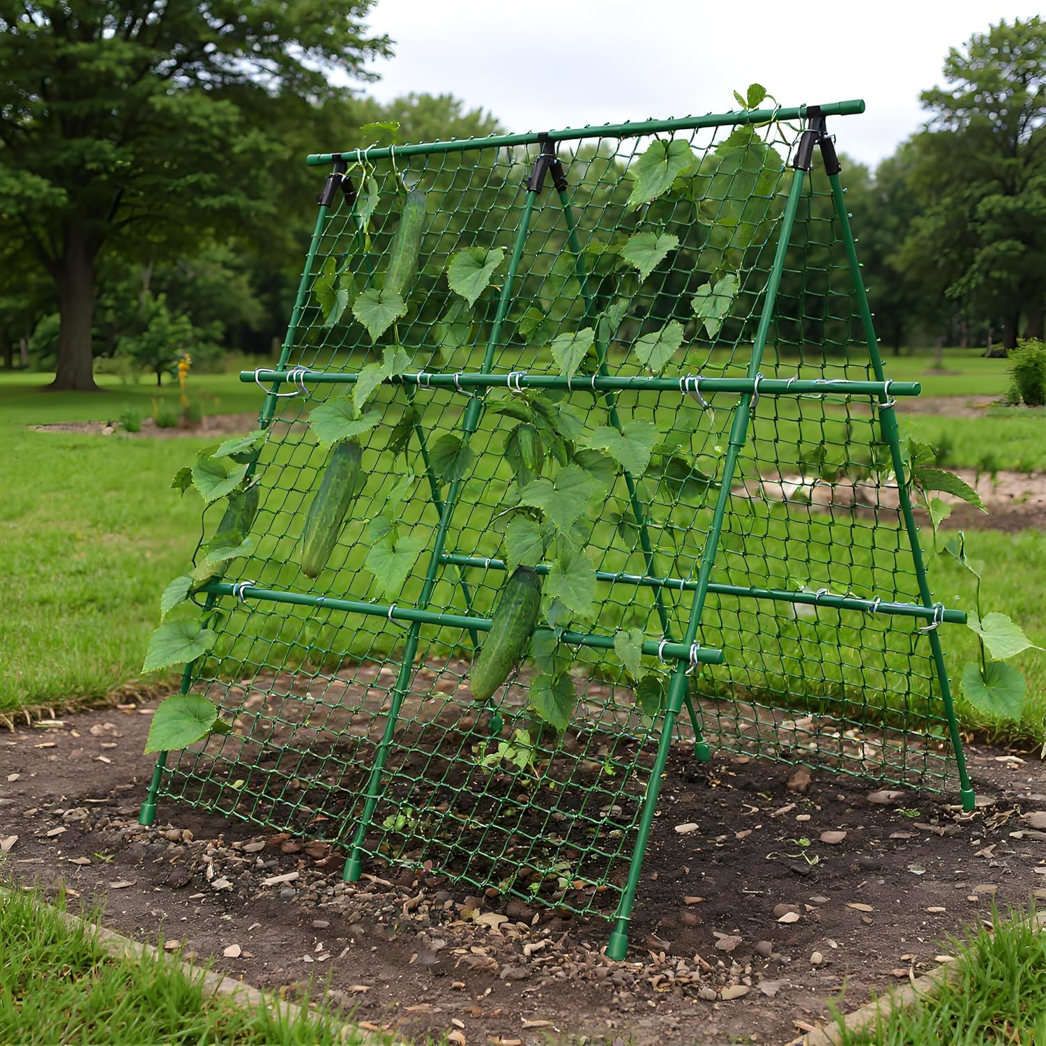 Salatalık Destek Çerçevesi, 1, - Plant Support Trellis Netting Climbing incelemesi ve fiyatı