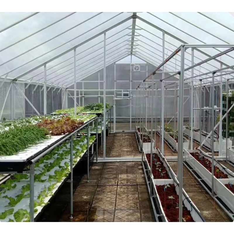Alüminyum çerçeveli 6Ft * 12ft - Polycarbonate Greenhouse Aluminum Frame incelemesi ve fiyatı