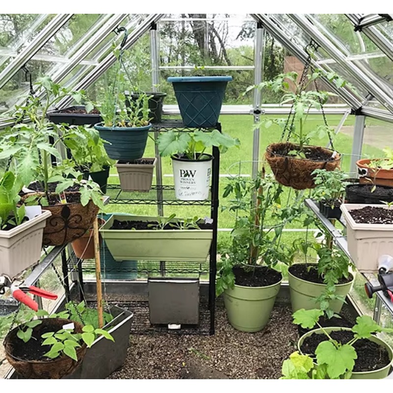 Alüminyum çerçeveli 6Ft * 12ft - Polycarbonate Greenhouse Aluminum Frame incelemesi ve fiyatı
