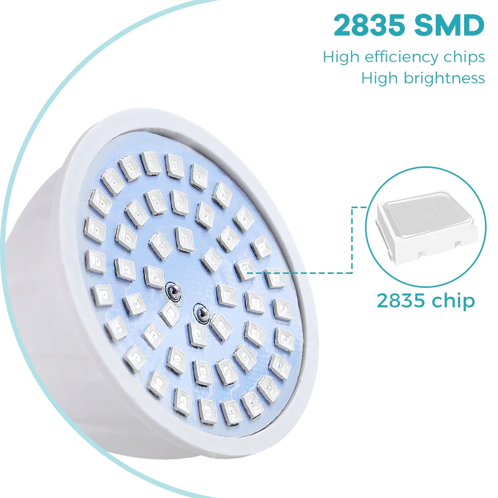Büyüme Lambası E27 Tam Spektru - Seed Starter Tray Kit With Grow Light incelemesi ve fiyatı
