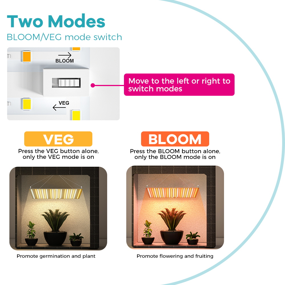 350W LED Bitki Yetiştirme Lamb - Seed Starter Tray Kit With Grow Light incelemesi ve fiyatı