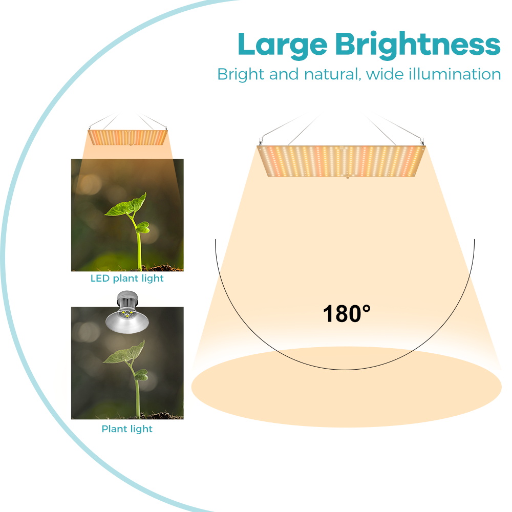 350W LED Bitki Yetiştirme Lamb - Seed Starter Tray Kit With Grow Light incelemesi ve fiyatı
