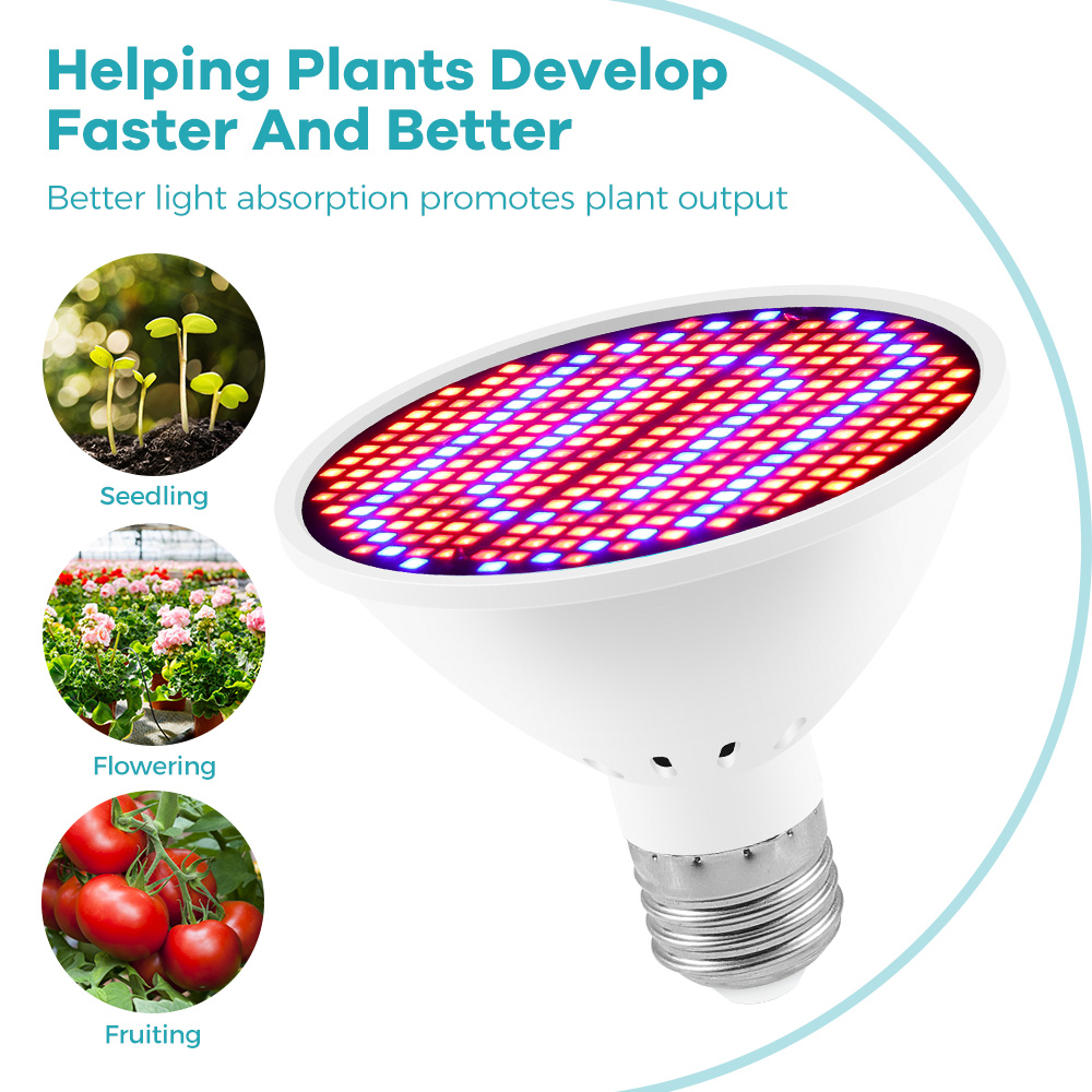 Bitki Yetiştirme Lambası 220V  - Seed Starter Tray Kit With Grow Light incelemesi ve fiyatı
