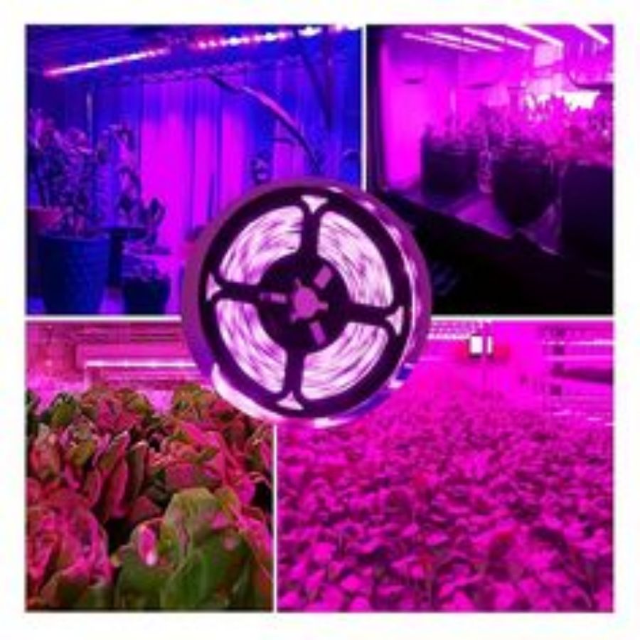 1M/2M/3M/5M/10M LED Tam Spektr - Seed Starter Tray Kit With Grow Light incelemesi ve fiyatı