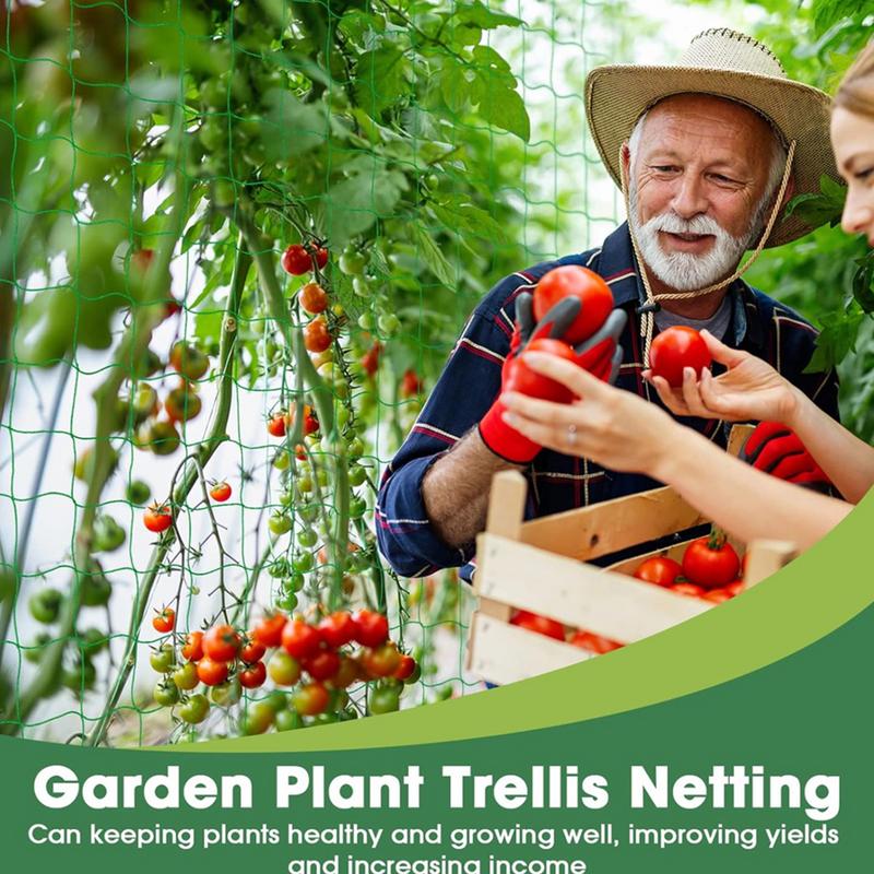 Salatalık Vines meyve sebze ka - Plant Support Trellis Netting Climbing incelemesi ve fiyatı