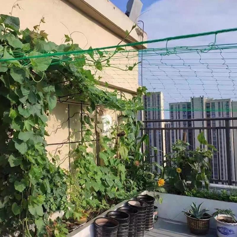 Salatalık Vines meyve sebze ka - Plant Support Trellis Netting Climbing incelemesi ve fiyatı