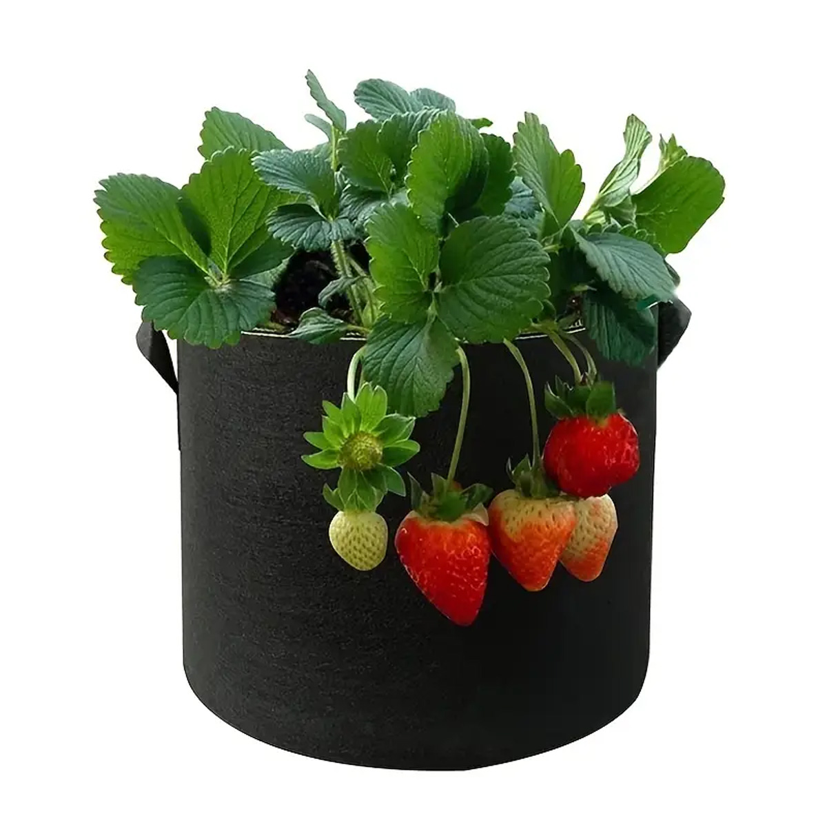 5 adet keçe büyümek çanta 5/10 - Plant Nursery Grow Bags Fabric 5 Gallon incelemesi ve fiyatı