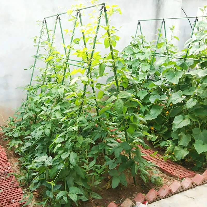 Salatalık Kafes Seti A-Frame B - Plant Support Trellis Netting Climbing incelemesi ve fiyatı