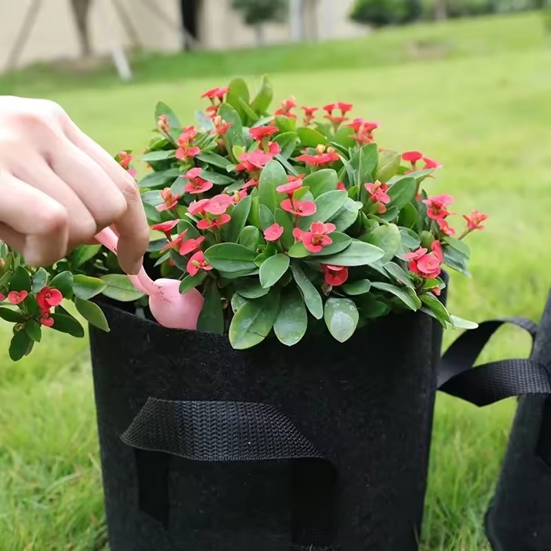 Keçe Yetiştirme Torbaları Sebz - Plant Nursery Grow Bags Fabric 5 Gallon incelemesi ve fiyatı