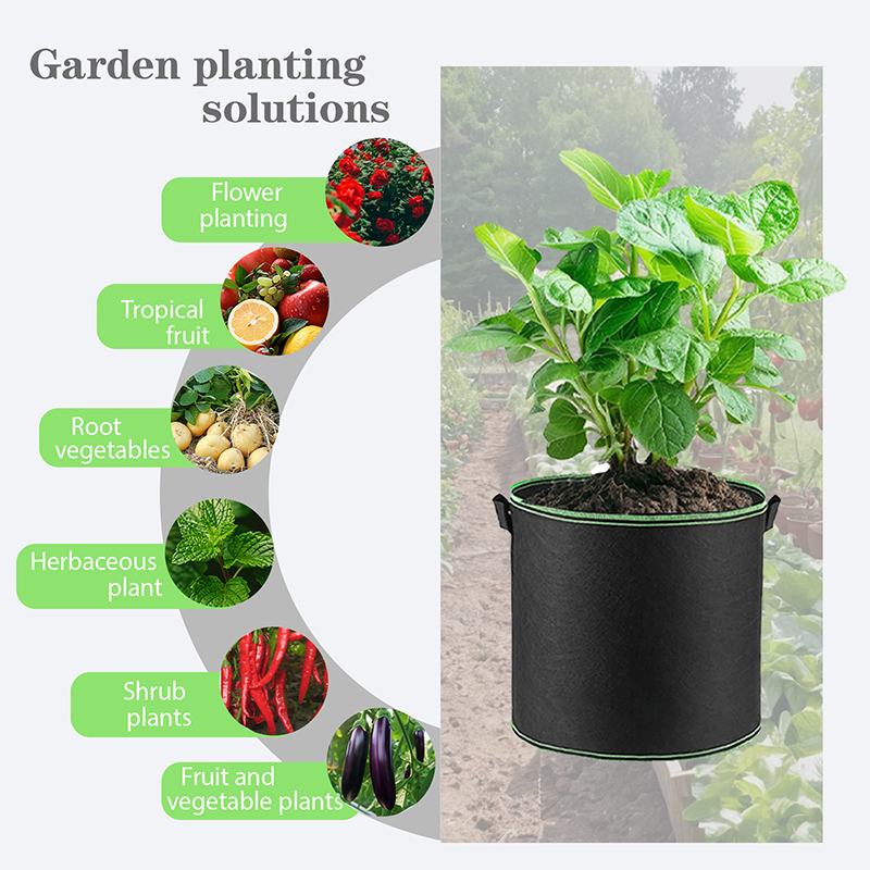 1 3 5 10 Galon Kumaş Bitki Yet - Plant Nursery Grow Bags Fabric 5 Gallon incelemesi ve fiyatı